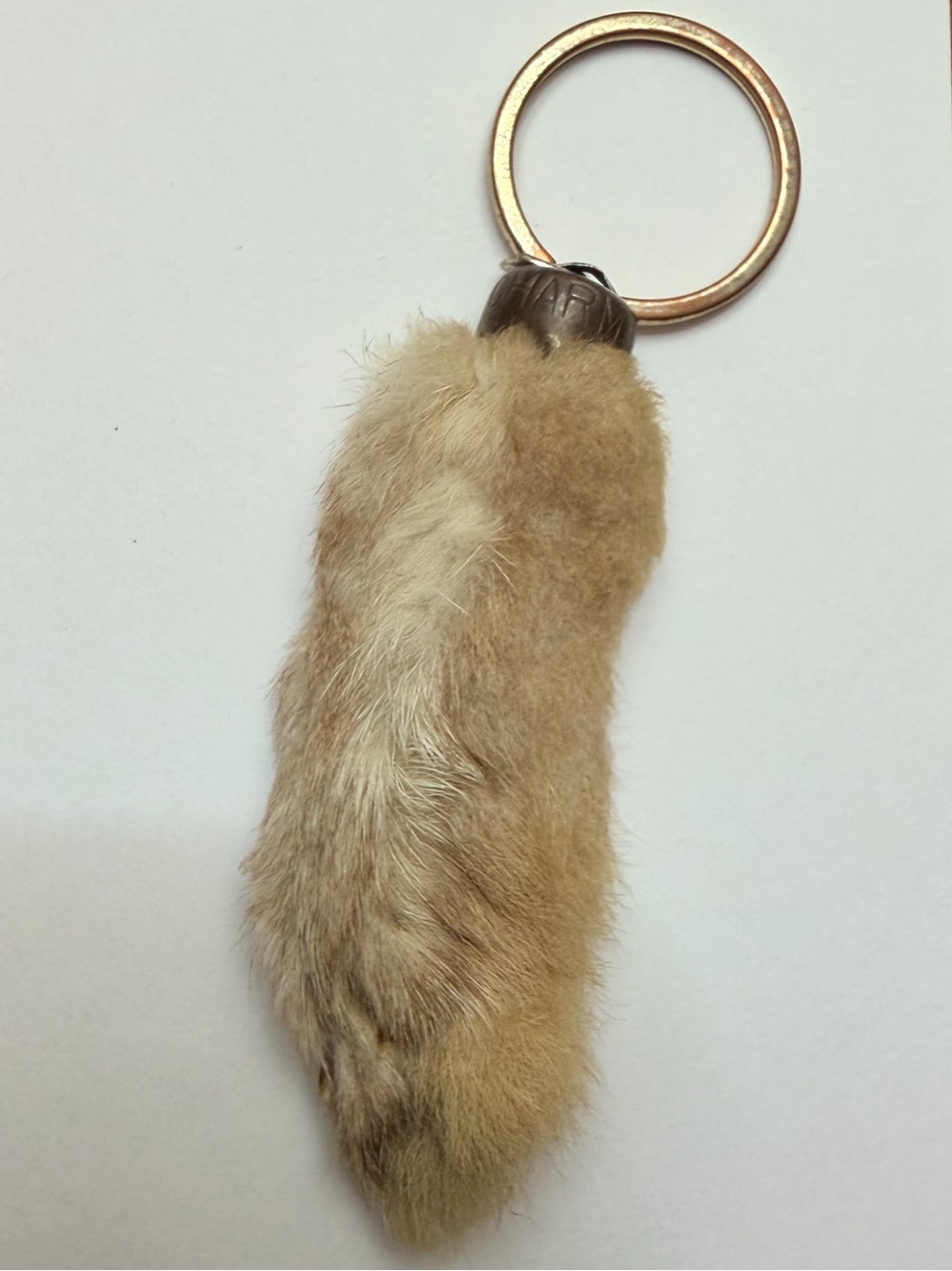 Vintage Genuine Rabbit’s Foot - 3 1/2”